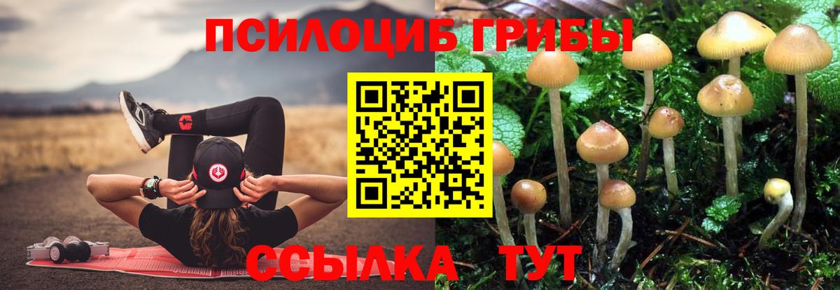 Псилоцибиновые грибы мухоморы  Галлюциногенные грибы мицелий  купить наркотик  Чайковский  Вход с VPN 
