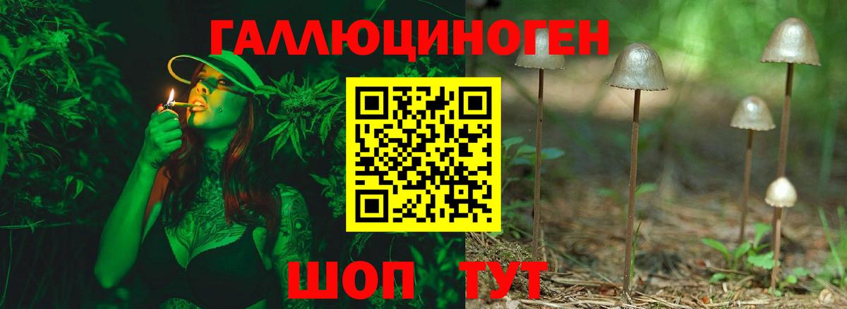 Галлюциногенные грибы Psilocybine cubensis Чайковский